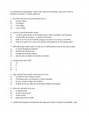 LIBRO SOFIA BASTA YA.