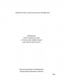 Formato para la recolección de información.