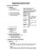 INVESTIGACIÓN DE ACCIDENTES DE TRÁNSITO