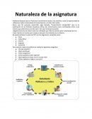 Naturaleza de la asignatura TDC.