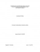 Principios Fundamentales Constitución Vs Realidad