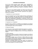 PROGRAMA DE ERGOBRAZOS