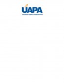 REDES DE DATOS EN INSTITUCIONES DE EDUCACIÓN BÁSICA Y MEDIA.