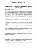 EJERCICIO DE CONSULTA CÓMO ES Y QUÉ CONTIENE EL FORMATO DE UN WPS Y DE UN PQR