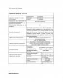 Proyecto de Reciclaje.