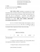 Ejemplo de Demanda ejecutivo mercantil.