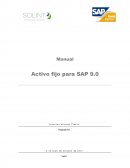 Manual Activo fijo para SAP 9.0