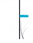 Inmigración hacía el sueño americano: “Un proceso multicultural”