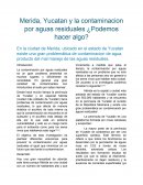 Merida, Yucatan y la contaminacion por aguas residuales ¿Podemos hacer algo?