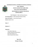 Contaminacion acustica .