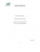 ¿Deuda o Capital Propio?