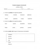 Prueba de prefijos y sufijos.