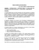 AUDITORIA MEDICA ENSAYO
