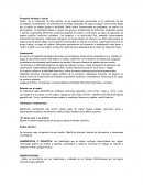 Informe tipo de evaluación para niños de kínder.