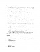 Tuberculosis - Informe