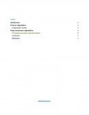 Proceso organizativo