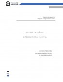 INFORME DE ANÁLISIS INTEGRADO DE LA EMPRESA