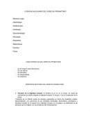 PRINCIPIOS RECTORES DEL DERECHO PROBATORIO