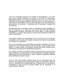 Industria Automotriz.