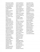 Proyecciones de craneo.