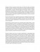 Tema- PETROBRAS: RESUMEN