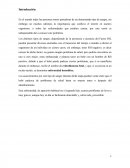 El origen de los problemas