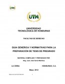 GUIA GENERICA Y NORMATIVAS PARA LA PREPARACIÓN DE TESIS DE PREGRADO