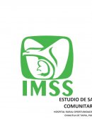 Estudio de comunidad CHIAUTLA PESS