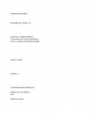 EXPRESIÓN ESCRITA INFORME DE CONSULTA