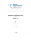 Análisis estratégico de la empresa de mensajería y transporte Traffic Services.