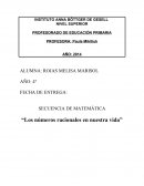 SECUENCIA DE MATEMÁTICA “Los números racionales en nuestra vida”