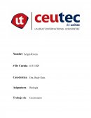 Tema- RESUELVA Y SUBA A LA PLATAFORMA.