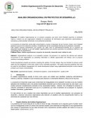 ANALISIS ORGANIZACIONAL EN PROYECTOS DE DESARROLLO