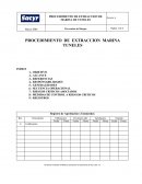 PROCEDIMIENTO DE EXTRACCION MARINA TUNELES