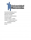 CAPACITACIÓN Y DOCENCIA EN SERVICIO