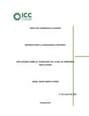REFLEXIONES SOBRE EL SIGNIFICADO DE LO QUE HE APRENDIDO HASTA AHORA.