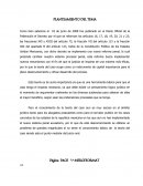 Teoria del caso. PLANTEAMIENTO DEL TEMA