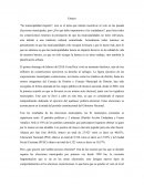 ENSAYO “Su municipalidad importa”,