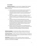 Pedagogia - Definición de educación