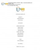 ANTROPOLOGIA. ¿Qué es la Antropología?