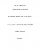 Tema- Comportamiento organizacional.