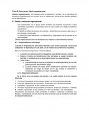 Estructura y diseño organizacional.