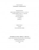 ENSAYO - CIUDADANÍA Y SOCIEDAD CIVIL