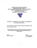 ESTUDIO DE LA TUBERÍA DE 20” EN EL TRAMO 14-15 POR MEDIO DE UNA PRUEBA HIDROSTÁTICA