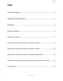 Tp Fisica 1 calculo de errores