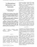 La Mecatrónica Definición y sus Funciones