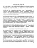 FISIOPATOLOGÍA DEL DOLOR. MECANISMOS Y VÍAS DE TRANSMISIÓN DEL DOLOR