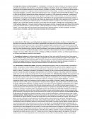 INFORME. Tecnología de la celulosa.