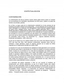CONTEXTUALIZACION CONTAMINACIÓN