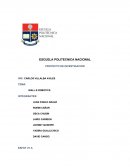 ENCUESTA- PROYECTO DE INVESTIGACION.